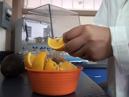 Investigan a obtención de combustible a partir de residuos da laranxa