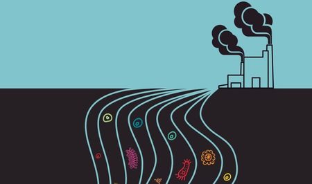 Large ecologistas en accion antibi ticos