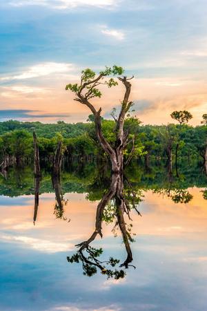 A  Amazonía, un paraíso case perdido