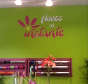 Unha planta de agasallo en Flores Al Instante!
